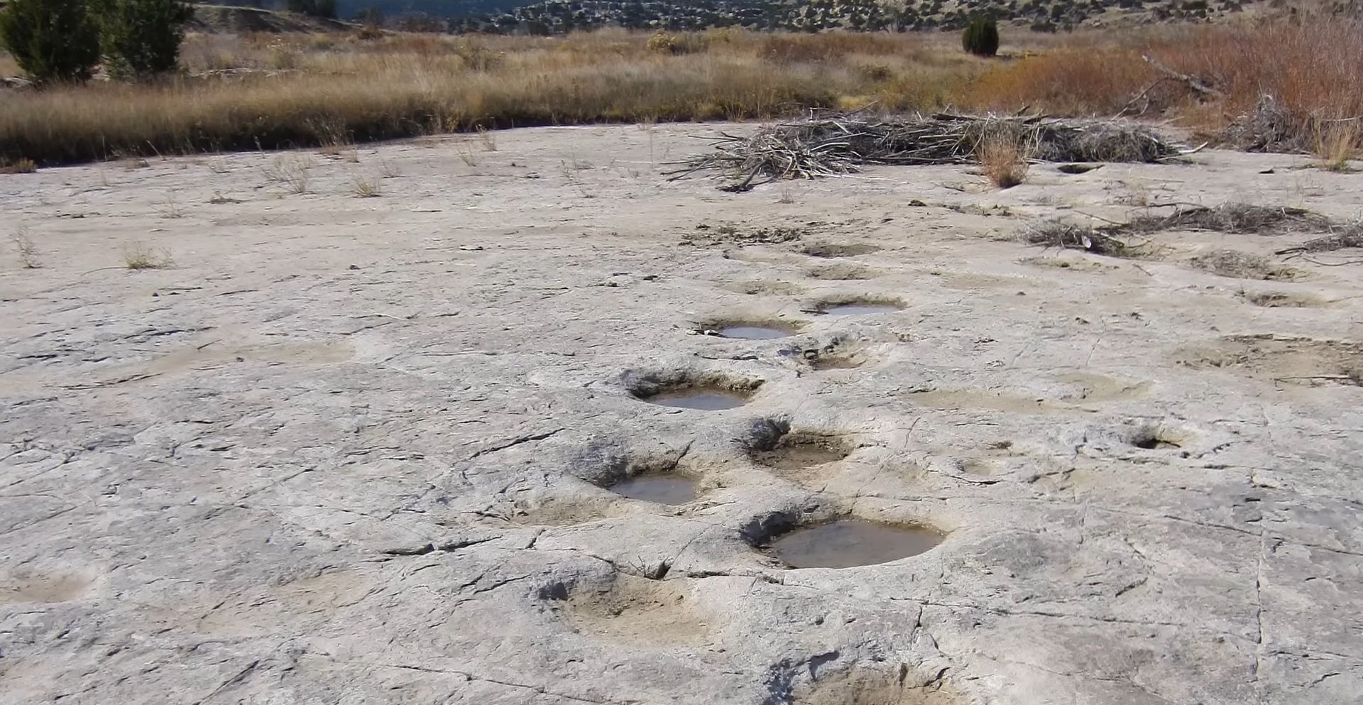 Urmele de pași ale dinozaurilor, cele mai frecvent întâlnite fosile din păduri și depozite sedimentare arhaice, continuă să fascineze și să dezvăluie mistere din lumea preistorică