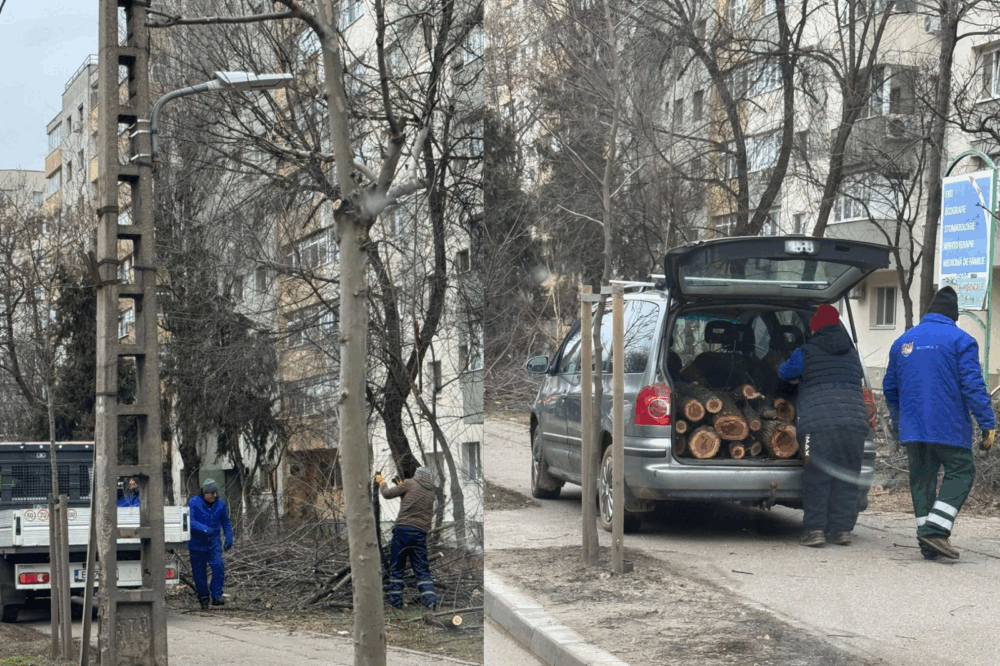 Tăierea copacilor de pe Bulevardul Basarabia a atras în aceste zile un val de reacții și controverse în rândul locuitorilor din zonă, devenind rapid subiect de discuție publică și acuzații între administrații
