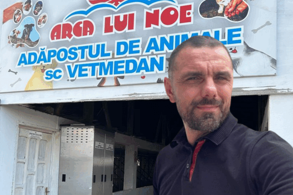 În ultimii ani, în țară s-a cristalizat o realitate sumbră în privința gestionării câinilor fără stăpân, iar cazul adăpostului privat „Arca lui Noe” din Vrancea scoate la lumină o serie de practici violente și controversate