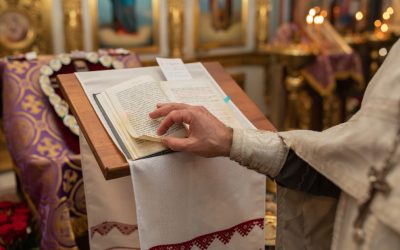 aD03MmRmYTgzM2U5MmE1NTE4ZDRjMjgxNjc5ZGEwYzEzOA.thumb_.jpg - PresaObiectiva