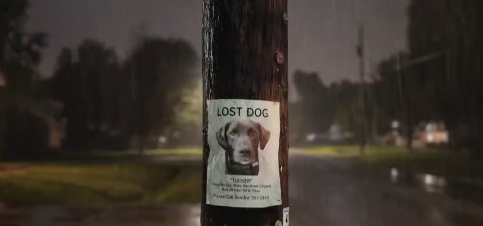 Monopolul asupra datelor se răcește: privatizarea supravegherii și noile riscuri pentru libertatea individuală În ultimele decenii, supravegherea și colectarea datelor au fost, în mare parte, apanajul statelor