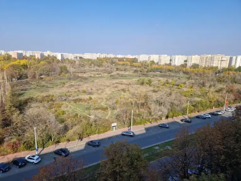 amendaior-1.webp.webp - PresaObiectiva