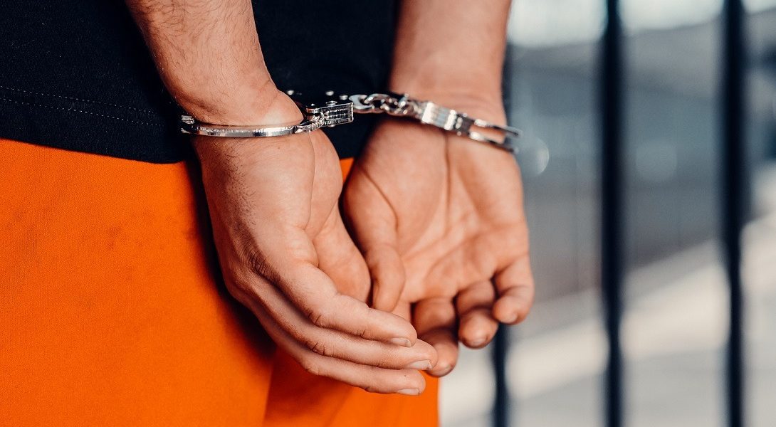 catuse.jpg - PresaObiectiva