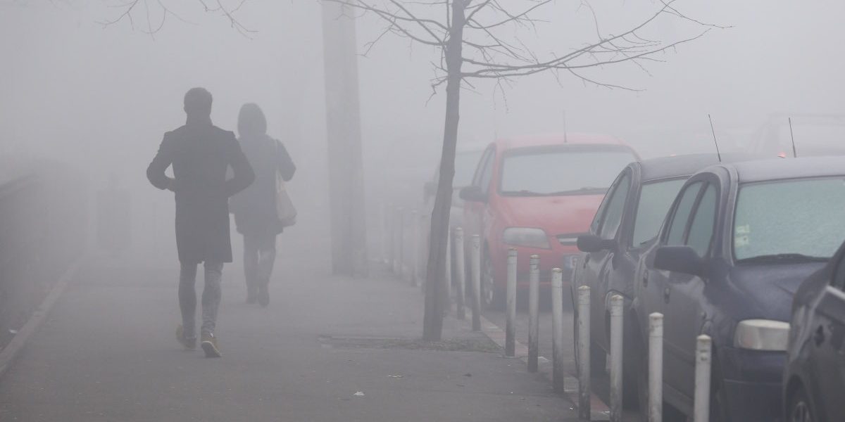 ceata_INQUAM_Photos_George_Calin.jpg - PresaObiectiva