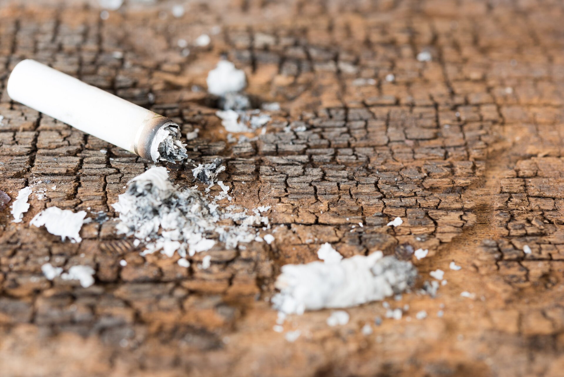 Problema mucurilor de țigară: poluare periculoasă și o soluție inovatoare în cercetare Deși mult timp micul muc de țigară a fost privit doar ca un deșeu menajer, s-a dovedit a fi o problemă alarmantă pentru mediul înconjurător