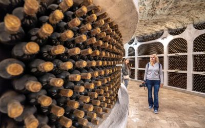 crama-moldova-sticle-cu-vin.jpg - PresaObiectiva