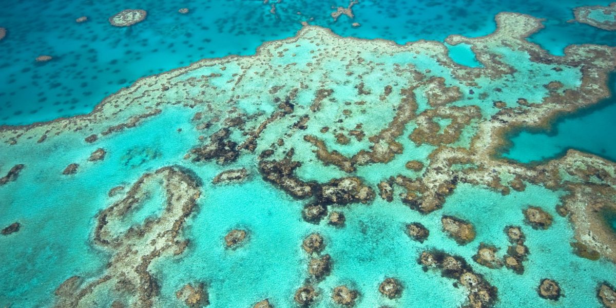 dreamstime_l_7406948.jpg - PresaObiectiva