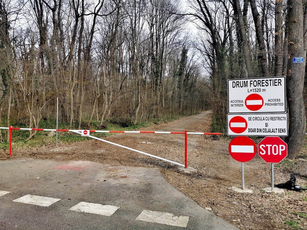Romsilva justifică drumul din Greenfield prin decrete comuniste, numindu-l „aleea modernizată pentru vehicule”
