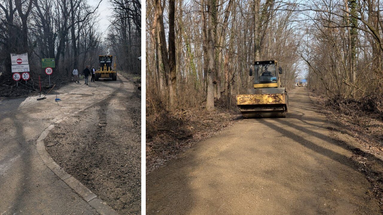 Drama drumului din Pădurea Băneasa: între legalitate și intervenții concrete Un nou capitol se scrie în cazul controversatului drum din Pădurea Băneasa, o zonă de protecție naturală ce a fost tranșată în ultimele luni de o serie de conflicte legale și controverse ridicate de modul în care infrastructura rutieră s-a construit pe terenuri forestiere