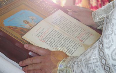 emM9MSZoYXNoPTMzM2E3YmQ3MTcxNDU1Yjk3NWExOTIwZTc3OGNhZmVm.thumb_.jpg - PresaObiectiva