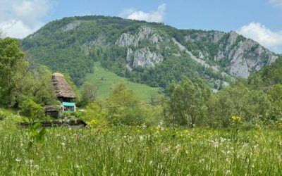 foto-apuseni-sursa-g4media-e1688459569191.jpg - PresaObiectiva