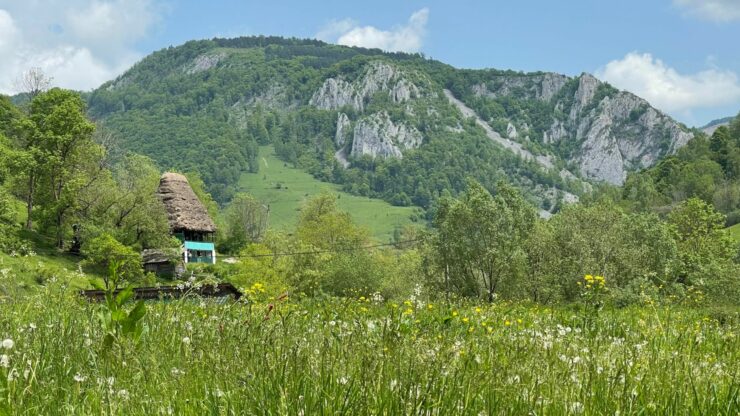 foto-apuseni-sursa-g4media-e1688459569191.jpg - PresaObiectiva