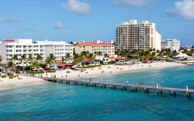 freepik__newsstyle-photo-of-palm.jpg - PresaObiectiva