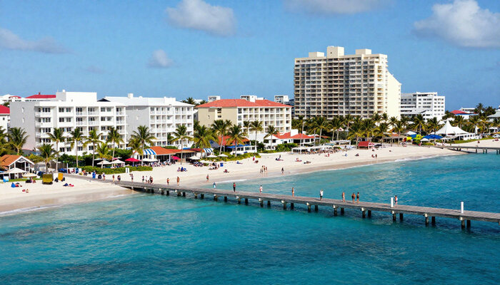 freepik__newsstyle-photo-of-palm.jpg - PresaObiectiva