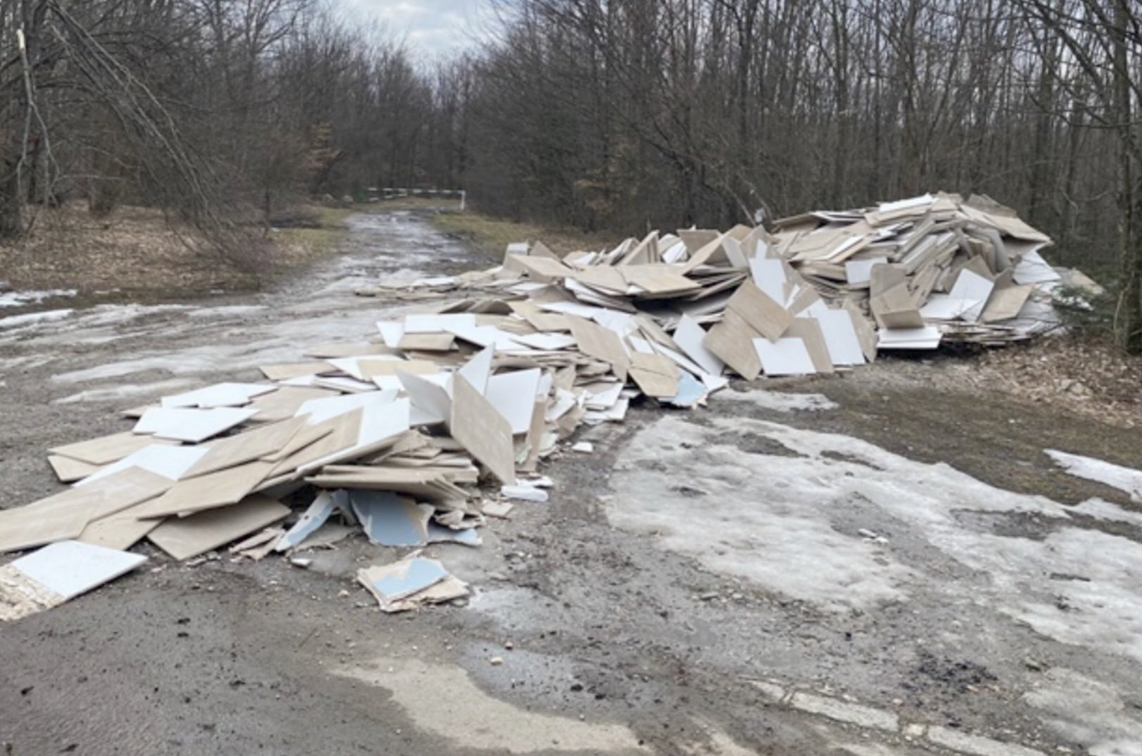 Gunoaiele ilegale din Parcul Național Cheile Nerei – Beușnița: o amenințare pentru ecosistemele protejate Un nou incident de mediu a fost descoperit recent în inima Parcului Național Cheile Nerei – Beușnița, o arie naturală de excepție situată în vestul țării