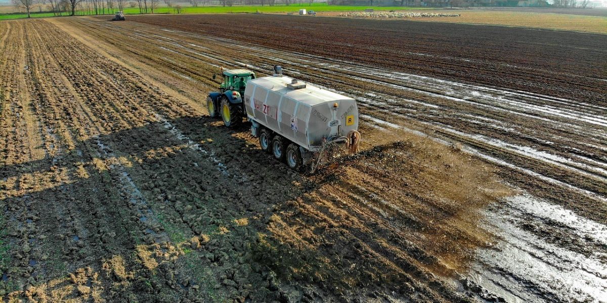 ingrasamant-fertilizator-Sursa-foto-Pixabay.jpg - PresaObiectiva