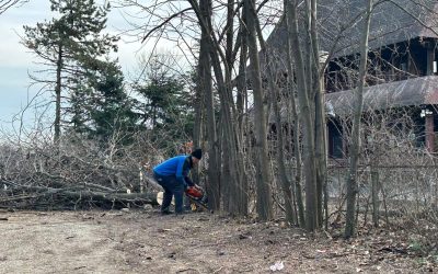 ior-aprc-1-3.jpg - PresaObiectiva