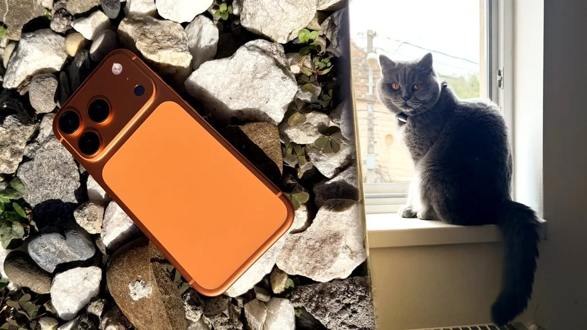 Apple și-a atins cel mai înalt nivel de performanță din istorie, raportând la finalul anului trecut cele mai bune rezultate financiare și cele mai mari vânzări de iPhone-uri din toate timpurile