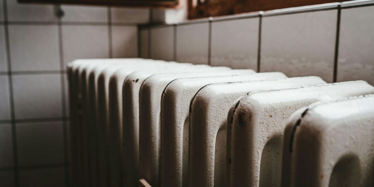 julian-hochgesang-ihx1LdtnGXw-unsplash-1-e1770715886989.jpg - PresaObiectiva