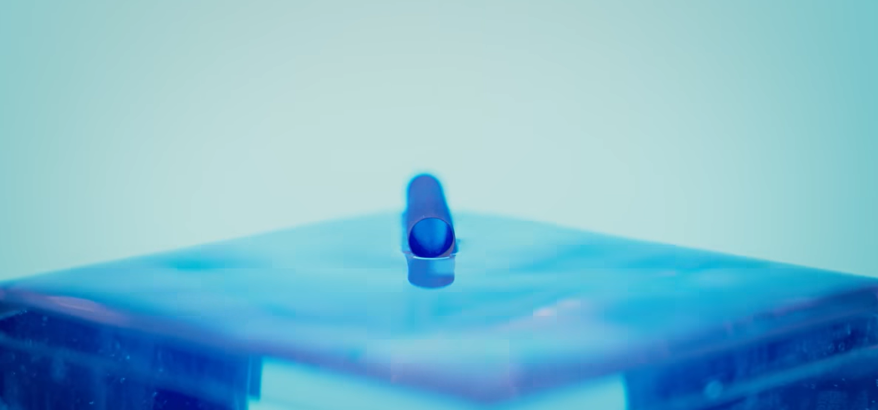 O inovație de senzație în domeniul tehnologiei maritime promite să revoluționeze siguranța și eficiența navelor, inspirată de unul dintre cele mai mici dar fascinante organisme din natură