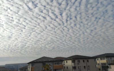 nori.jpeg - PresaObiectiva