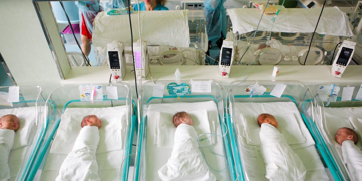 nou-nascut_INQUAM_Photos_George_Calin.jpg - PresaObiectiva