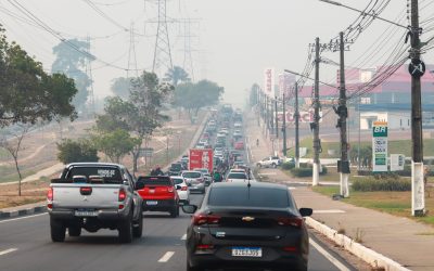 profimedia-0812920647.jpg - PresaObiectiva