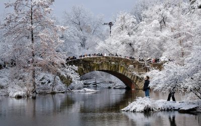 profimedia-1059402406.jpg - PresaObiectiva