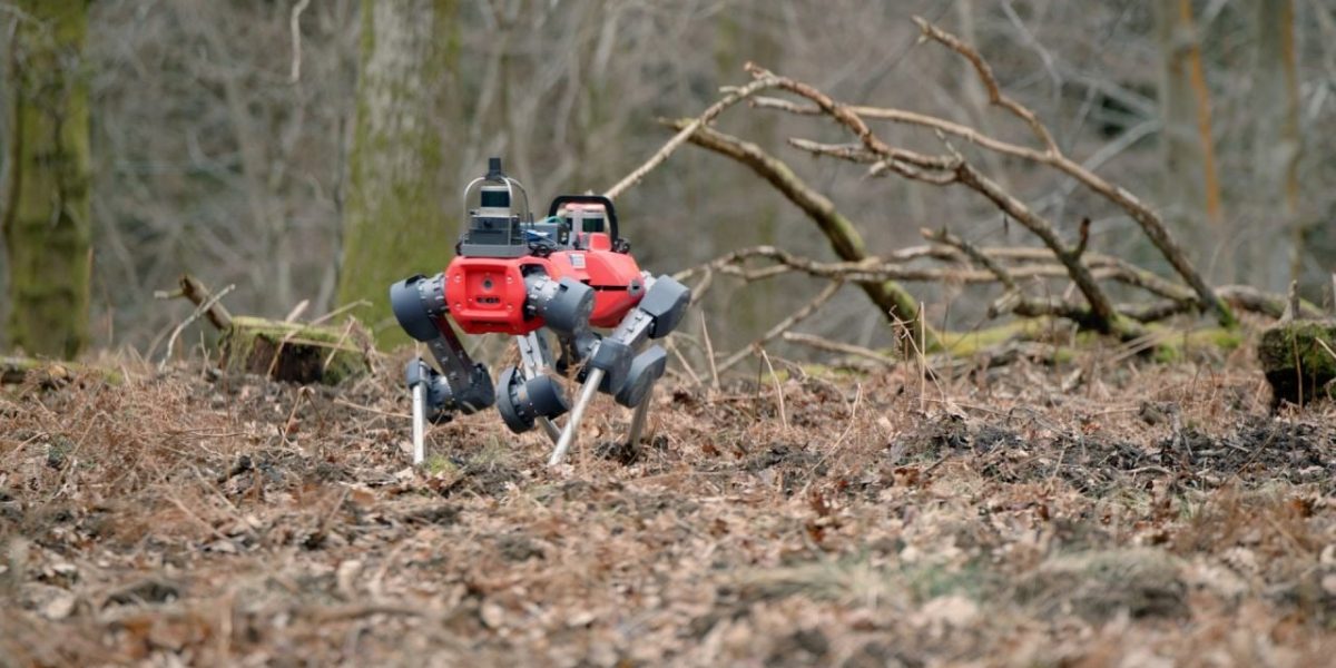 robotii-caini-care-scaneaza-padurile-defrisari.jpg - PresaObiectiva