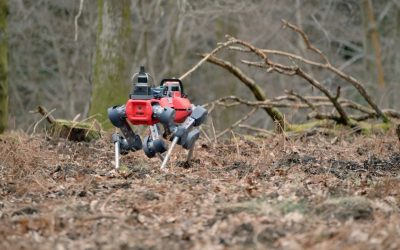 robotii-caini-care-scaneaza-padurile-defrisari.jpg - PresaObiectiva