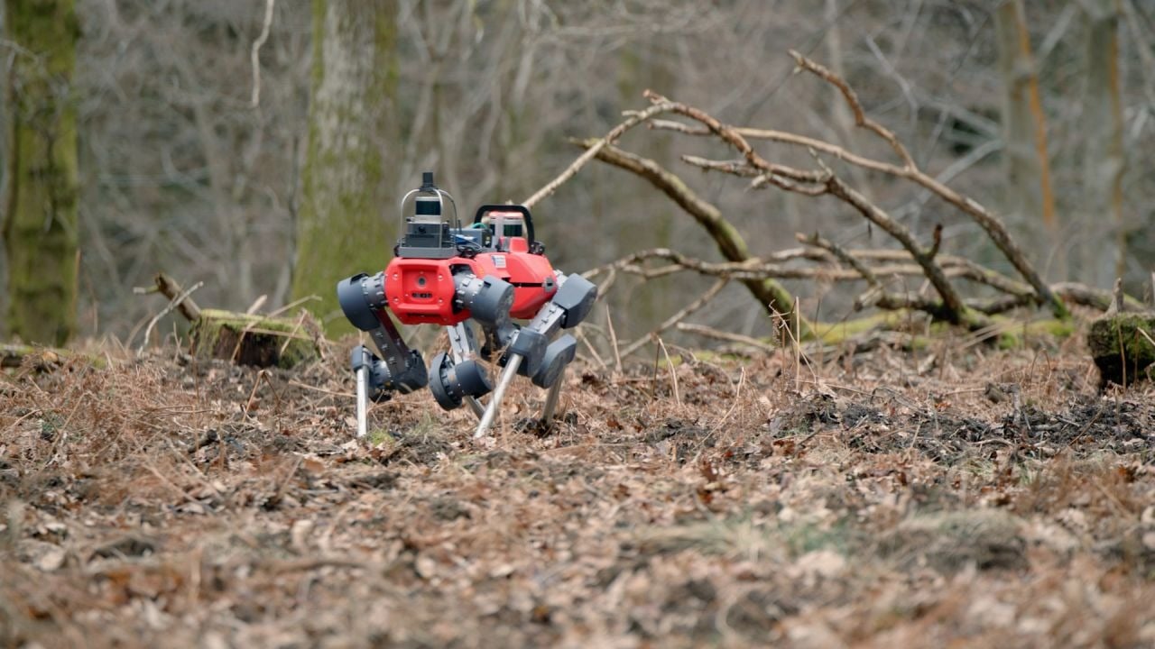 Tendința de a combina tehnologia de ultimă generație cu pădurile europene devine tot mai vizibilă în ultimele luni, odată cu apariția în teren a unor roboți patrupedi, asemănători unor câini mecanici