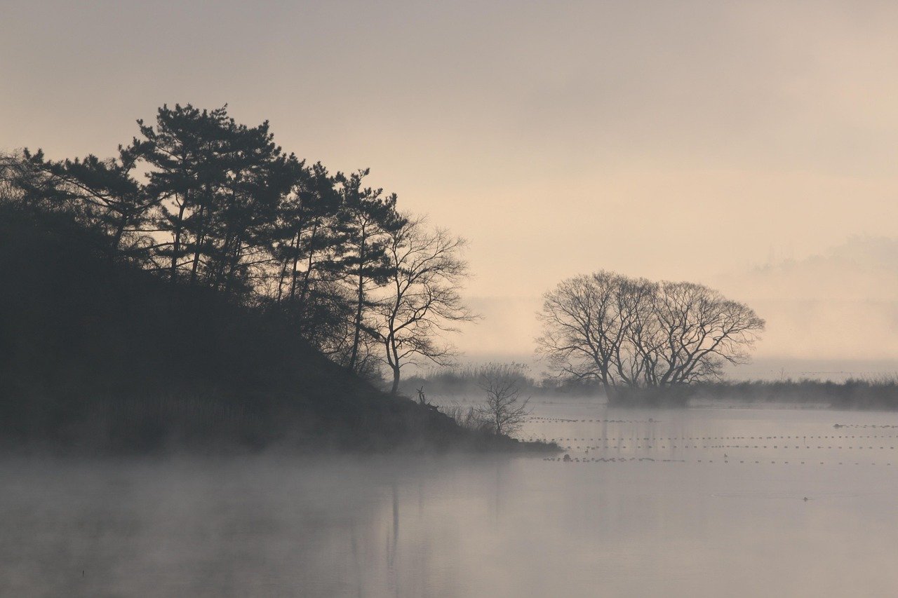 Marile mistere ale trecutului: cadavre antice descoperite în mlaștinile din Germania dezvăluie povești șocante și neașteptate O serie de descoperiri arheologice ce includ aproximativ 60 de cadavre găsite în mlaștinile din nordul Germaniei readuc în prim-plan enigmele din trecutul îndepărtat al Europei
