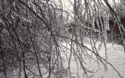 vlcsnap-2026-01-31-19h09m01s729.png - PresaObiectiva