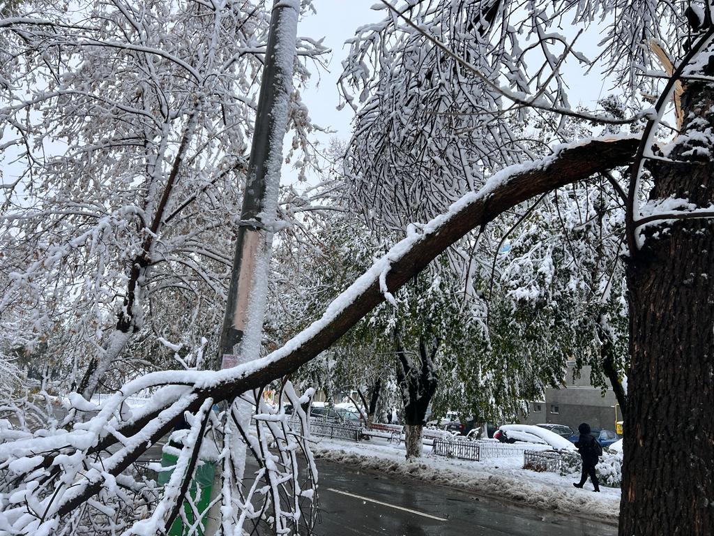 Blocajul de pe drumurile din Bucureşti şi din judeţul Ilfov cauzat de nămeţi şi copaci doborâţi de rafalele puternice se menţine activ, iar echipele de intervenţie au avut o zi intensă miercuri, încercând să limiteze pagubele şi să asigure circulaţia în condiţii de siguranţă