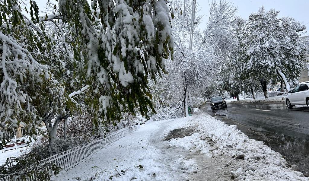 zapada-iarna-nameti-drumuri-inchise-viscol-cod-rosu-vreme-rea-noroi-deszapezire2.jpeg - PresaObiectiva