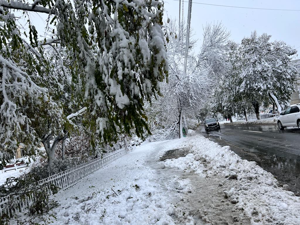 Condiții meteo severe pe drumurile din mai multe regiuni ale țării: ninsoare și ceață îngreunează traficul în această dimineață Dimineața zilei de luni aduce un tablou de iarnă în mai multe județe ale României, cu viscol, ninsoare abundentă și ceată densă, condiții care pun la încercare șoferii și autoritățile responsabile de gestionarea traficului rutier