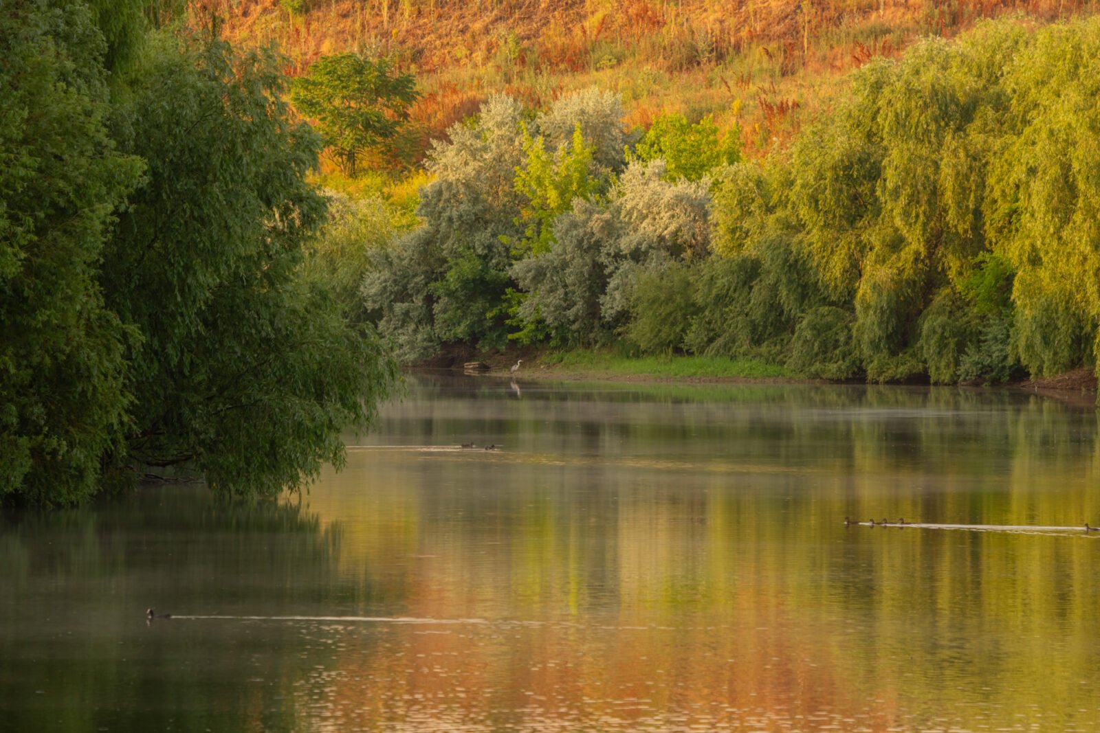 Atelier foto gratuit în natură, pe traseul Dâmboviței