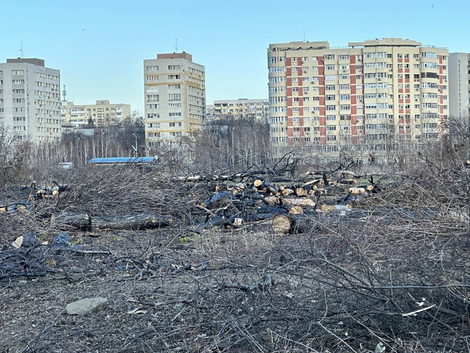 Primarul general al Capitalei, Ciprian Ciucu, a reacționat vineri la condițiile impuse de grupul parlamentar AUR pentru participarea la ședințele Consiliului General al Municipiului București (CGMB)