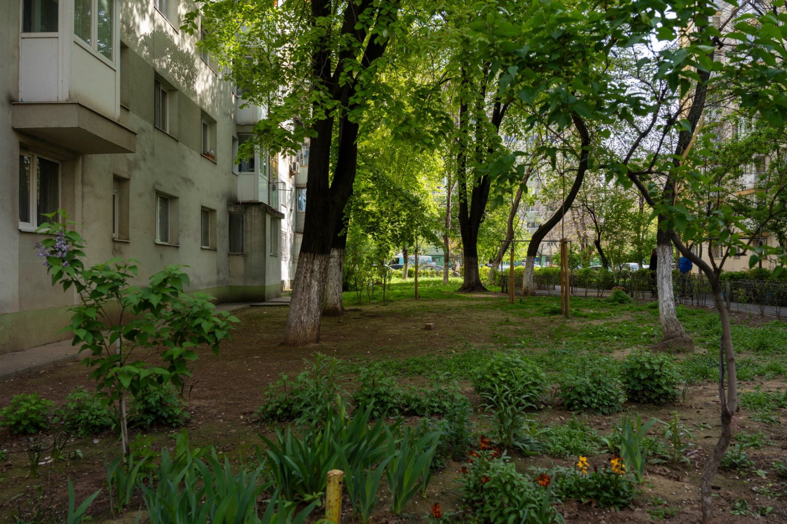 Tinerii din Sectorul 2, sub 28 de ani, au acum o oportunitate importantă de a contribui activ la reconstructia și revitalizarea urbană a cartierului Pantelimon