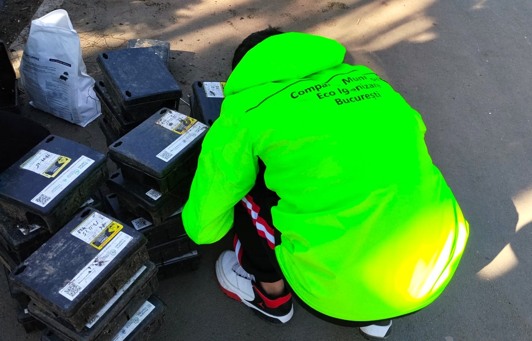 Bucureștiul intră într-o nouă etapă de curățenie urbană cu lansarea unor ample acțiuni de deratizare și combatere a rozătoarelor, menite să reducă prezența șobolanilor și a altor dăunători în spațiile publice și private