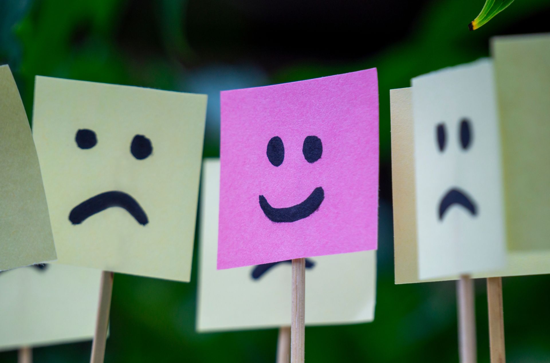 Importanța amabilității în societatea modernă