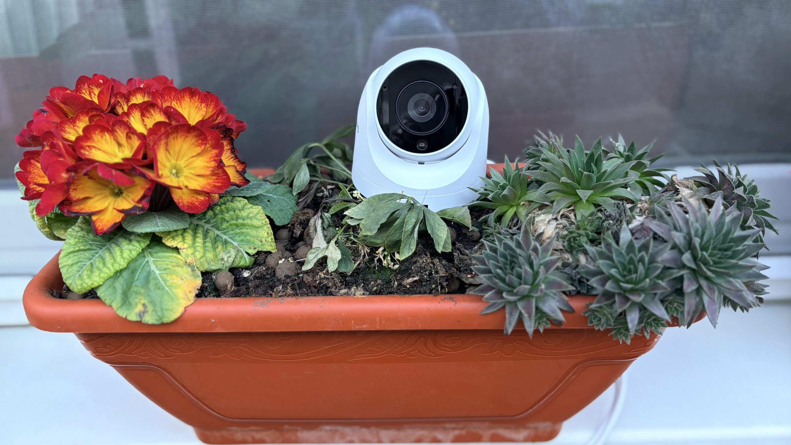 Synology TC500: camera de supraveghere inteligentă, ușor de integrat și de folosit Când vine vorba de sisteme de supraveghere moderne, tehnologia devine tot mai accesibilă și mai inteligentă