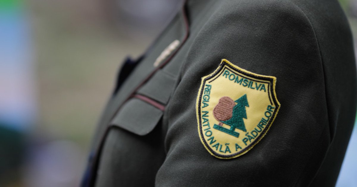 Guvernul renunță la vechiul model administrativ local în gestionarea pădurilor și trece la o nouă structură regională Schimbare majoră în managementul sectorului forestier din România: guvernul a aprobat, joi, reorganizarea Romsilva, instituția fundamentală ce gestionează resursele forestiere ale țării