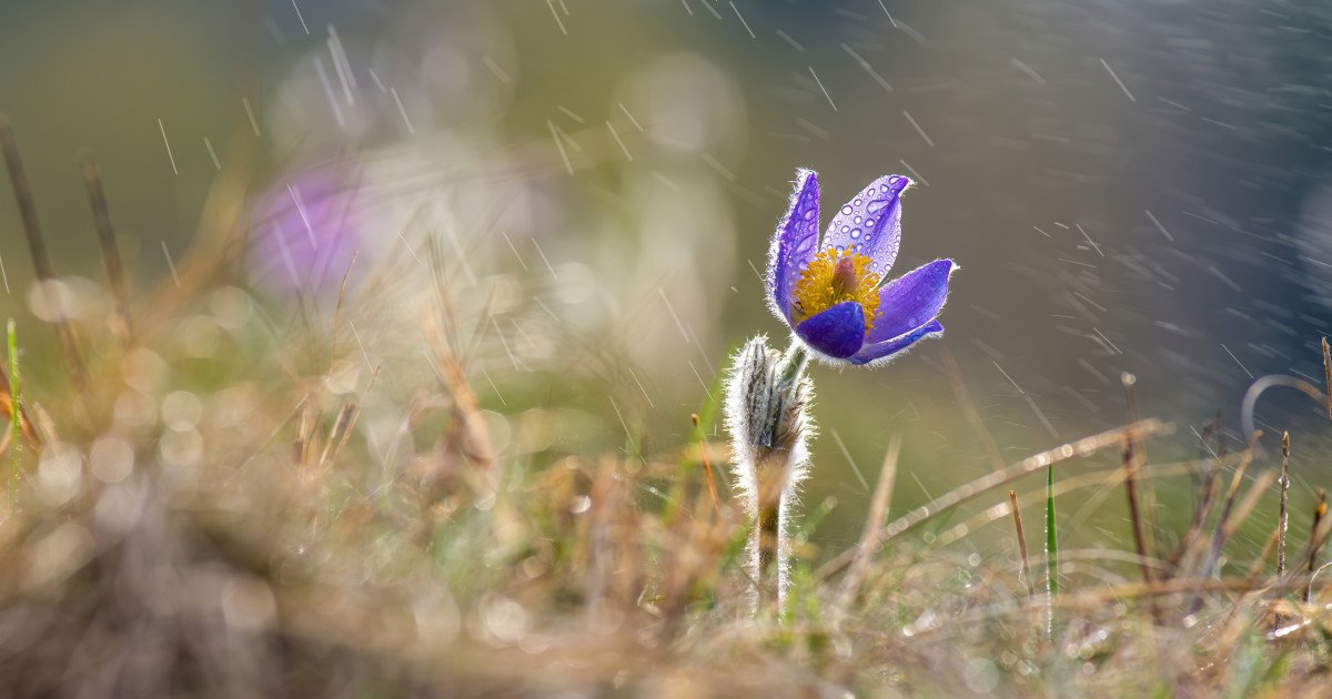 Vântul puternic și temperaturile scăzute domină începutul săptămânii în România, pe măsură ce meteorologii emit o avertizare de fenomene extreme