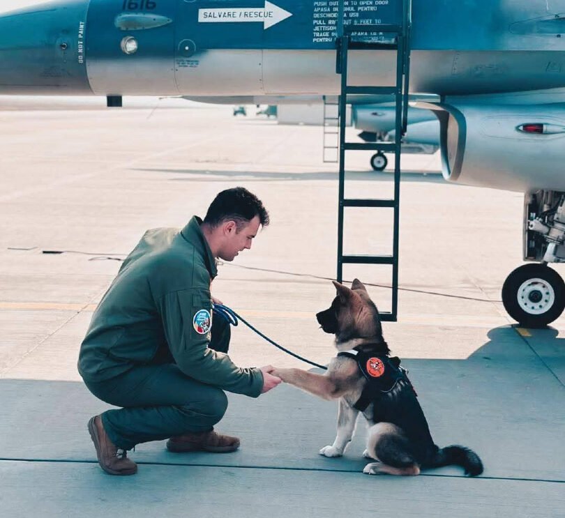 Tragedie la Baza 86 Aeriană din Borcea: un militar își pierde viața în încercarea de a salva un câine O veste tragică a zguduit marți comunitatea militară din Călărași