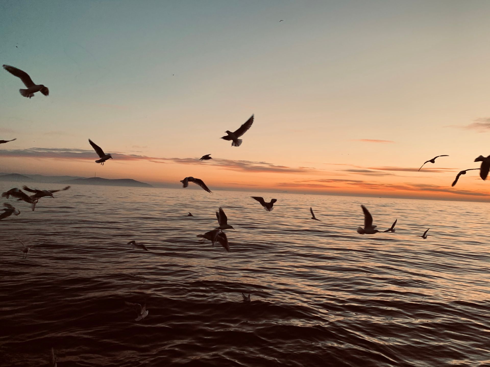 O tehnologie revoluționară pentru combaterea scurgerilor de petrol a ajuns în centrul atenției mondiale, aducând promisiuni de intervenție mai rapidă și mai curată în dezastrele ecologice marine