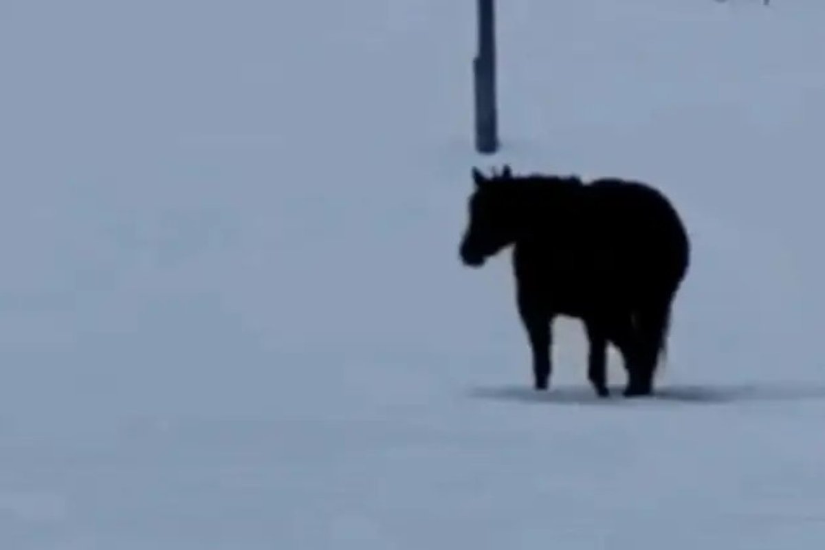 Expunerea prelungită crește confuzia, arată studiile