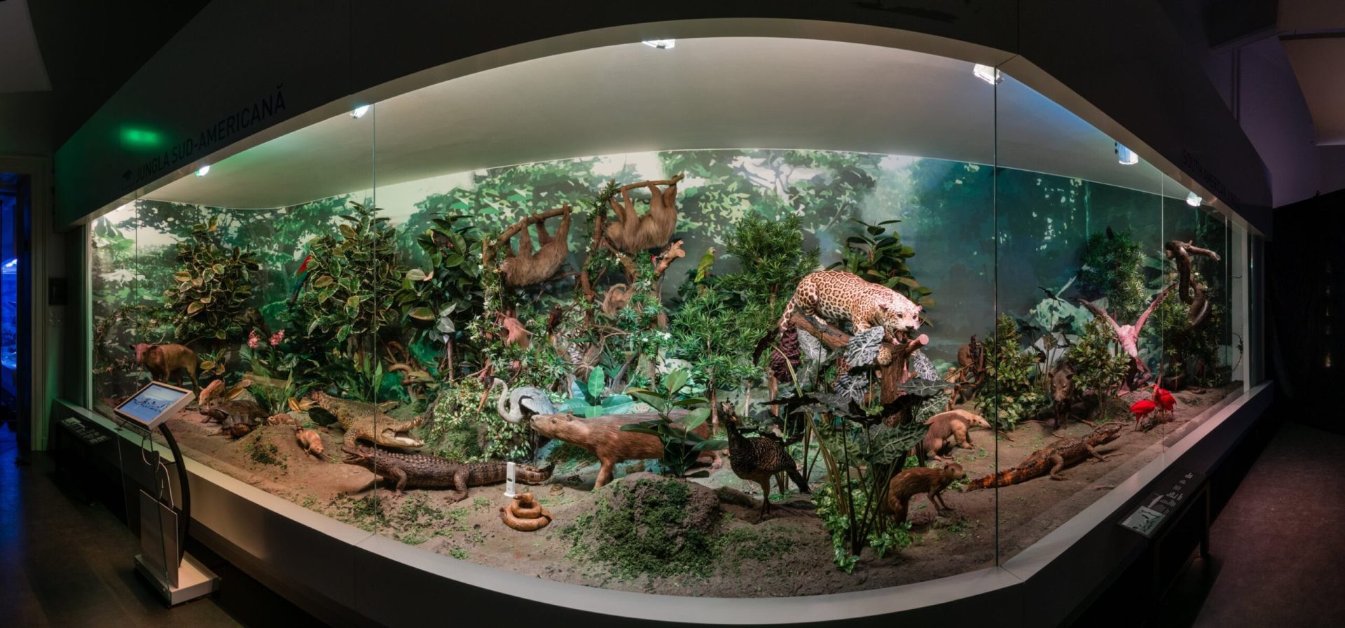 Atelier pentru tineri cu cerințe speciale, la Muzeul Antipa