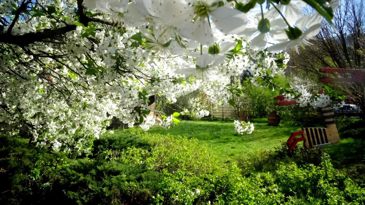 Temperaturi neobișnuit de ridicate pentru această perioadă a anului și manifestări meteo variabile în toată țara continuă să surprindă românii după o iarnă moderată, dar cu semne de încălzire timpurie