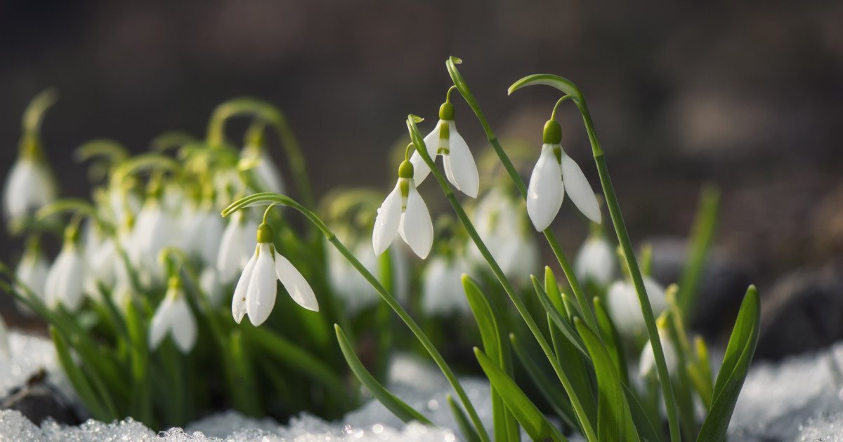 Meteorologii anunță o săptămână cu vreme predominant frumoasă pentru majoritatea regiunilor din România, însă preocuparea lor rămâne legată de intensificările vântului, mai ales în zona de sud-vest